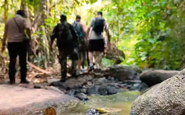 Rainforest Video
